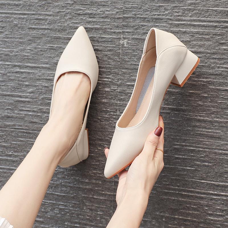 Thick Heel Low Heel Single Shoes Women's Spring and Autumn Style Temperament Pointed Work Shoes Are Not Tired Feet Shallow Mouth Middle Heel Commuting