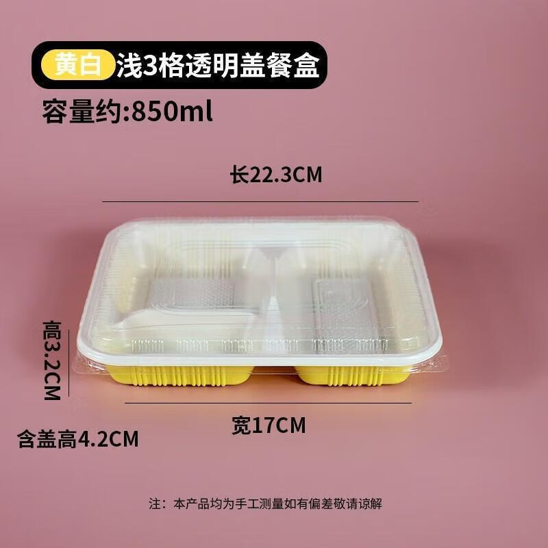 Disposable 3-Compartment Bento Box