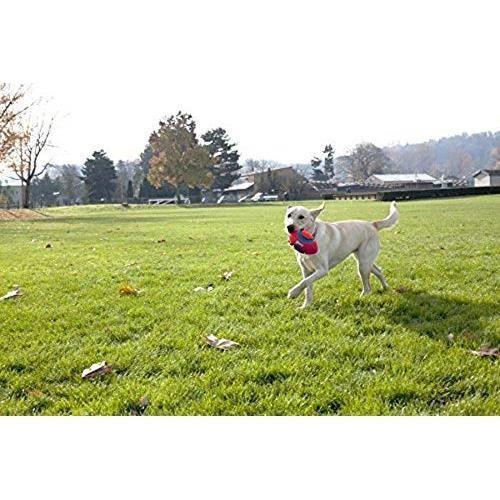 Jouet pour Chien - CHUCK IT - Fumble Fetch - Taille S - 13 x 20 cm - Couleur Bleu