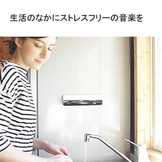 Plex Bluetooth Wireless Flat Panel Speaker Black Waterproof Vibration Speaker Wireless Charging Compatible Magnet Mountable BeSONIC PX-EBTWPS01BK