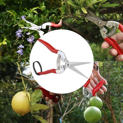 Gardening Hand Pruner Garden Scissors Pruning Shears Micro-Tip Pruning Snips Leaf Trimmer Straight Florist Scissor For Plants