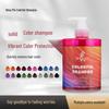Shampoo e Condicionador Color-Lock: Antidesbotamento, Repositor de Cor para Cabelos Tingidos Cinza, Azuis, Rosas