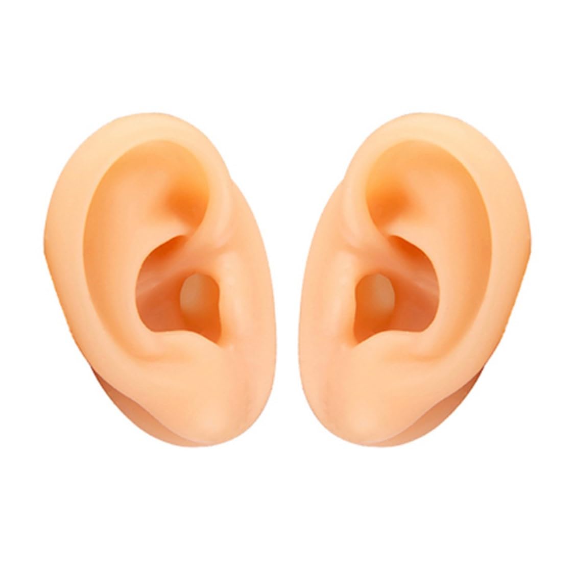 

Silicone Ear Model, Set of 2 (Left and Right), Artificial Ear Dummy, for Ear Acupuncture, Suture Practice, Painting, and Art