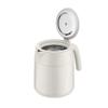 DESLON Half-Day Leisure Insulated Tea Pot