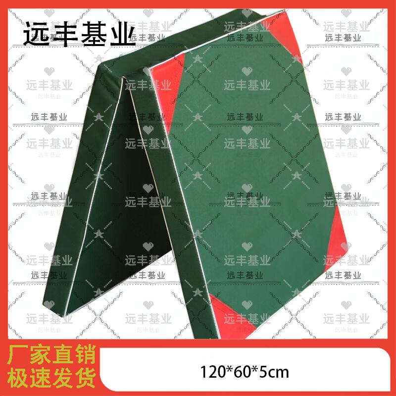 Yuanfeng Jiyuan Gymnastics and Training Mat