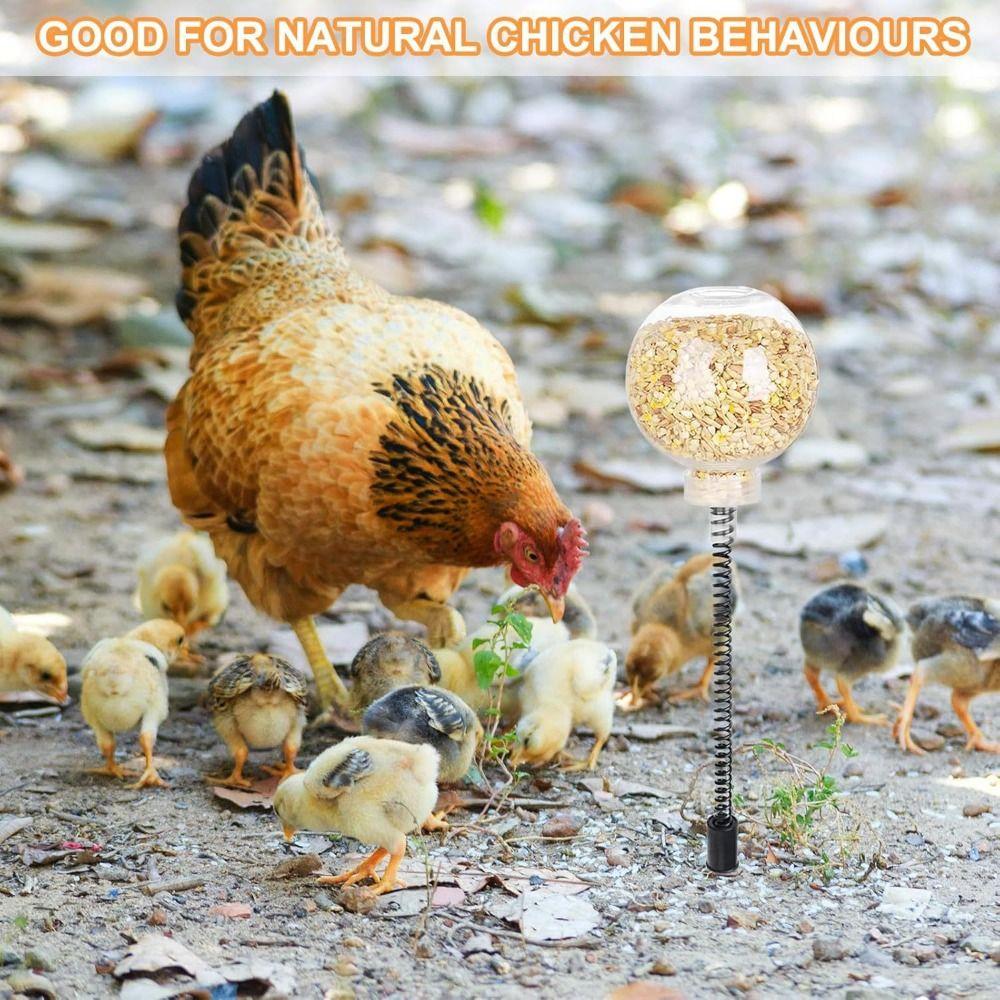 2Pcs Bite Resistant Chicken Swing Feeder Creative Poultry Treat Dispenser  Henhouse