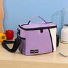 Large Capacity Picnic Bag Leakproof Food Tote Bag Lunch Carrier Insulated Food Bag  Lunch