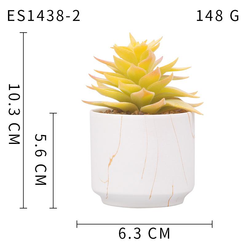 Gold Pattern White Background Ceramic Cup, Simulated Succulent Plant Potted Plant, Mini Potted Plant Office Home Supermarket Decorative Ornament