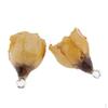 2 Piece Resin Dried Flower Pendant Jewelry Findings Crafting Charms For Necklace Bracelet