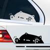 Kawaii Katzenaufkleber, Auto-Karosserie-Cartoon-Tieraufkleber, Notebook-Telefon-Laptop-Tagebuch-Dekorationsaufkleber für Mädchen und Frauen