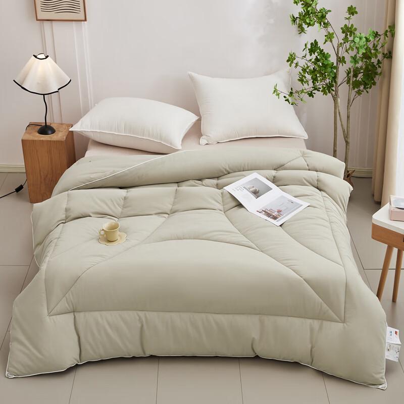Qixiai Minimalist Xinjiang Cotton Winter Quilt