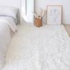 Light Grey Carpet Living Room Plush Rug Bed Room Floor Fluffy Mats Anti -Slip Home Decor Rugs Soft Velvet Carpets Kids Blanket 