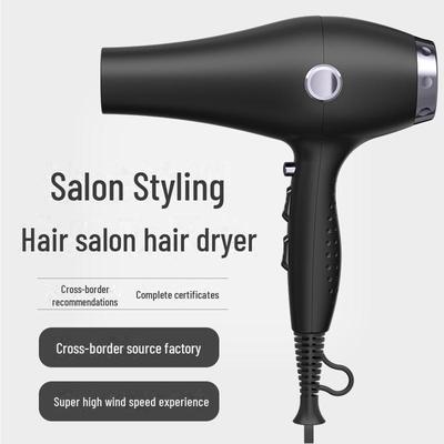 2400W Hochleistungs-Haartrockner nach europäischem Standard mit negativer Ionentechnologie für Salons