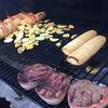 1pc BBQ Non-Stick Reusable Grilling Pad - High Temperature Resistant & Easily Cleaned - Perfect for Barbecue & Baking!