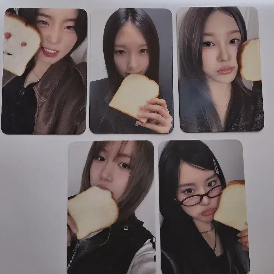 

Youngpa-san Unreleased Photocard Photocard