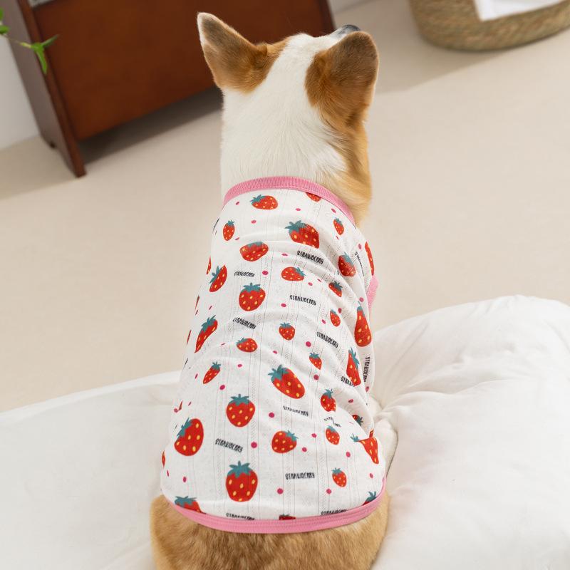 Corgi Vest Spring and Summer Full of Fruit Corgi Special Two-legged Clothes Starling Dachshund Medium Dog Pet Clothes