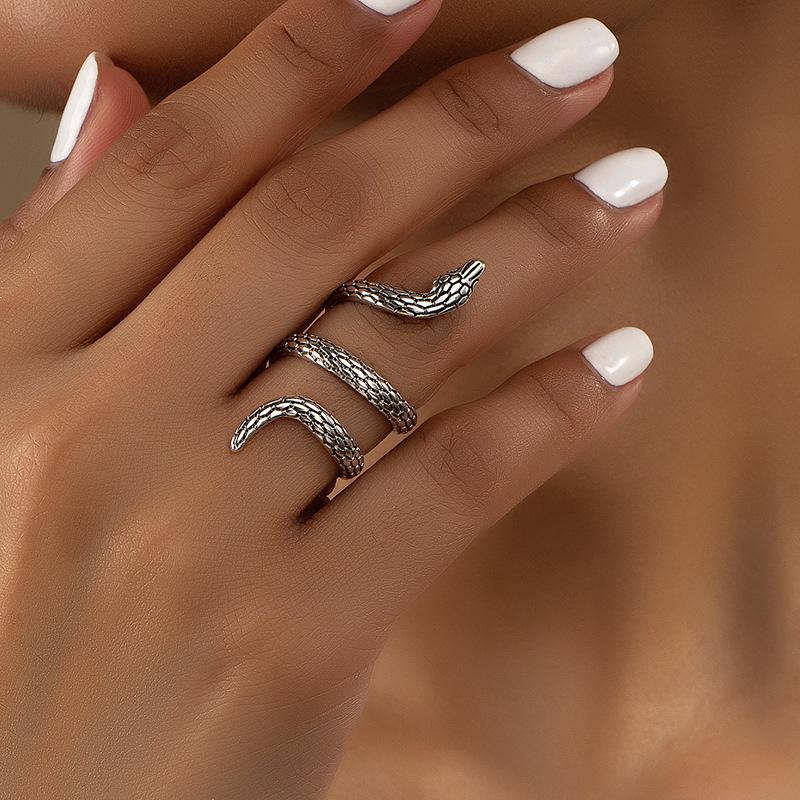Exaggerated Retro Zodiac Snake Ring: Unisex Hip-Hop Street Style