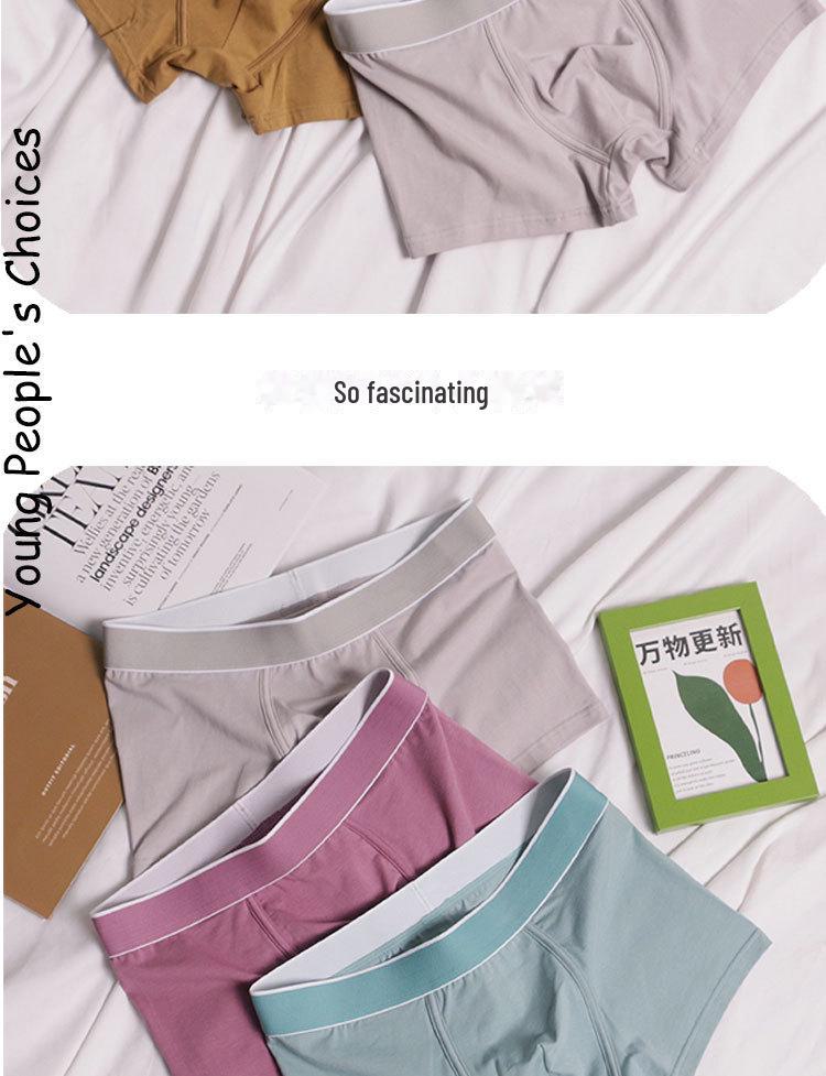 3-Pack Men's Plus Size Solid Color Cotton Boxer Shorts: Simple, Casual Sports Underwear for Young & Middle-Aged.