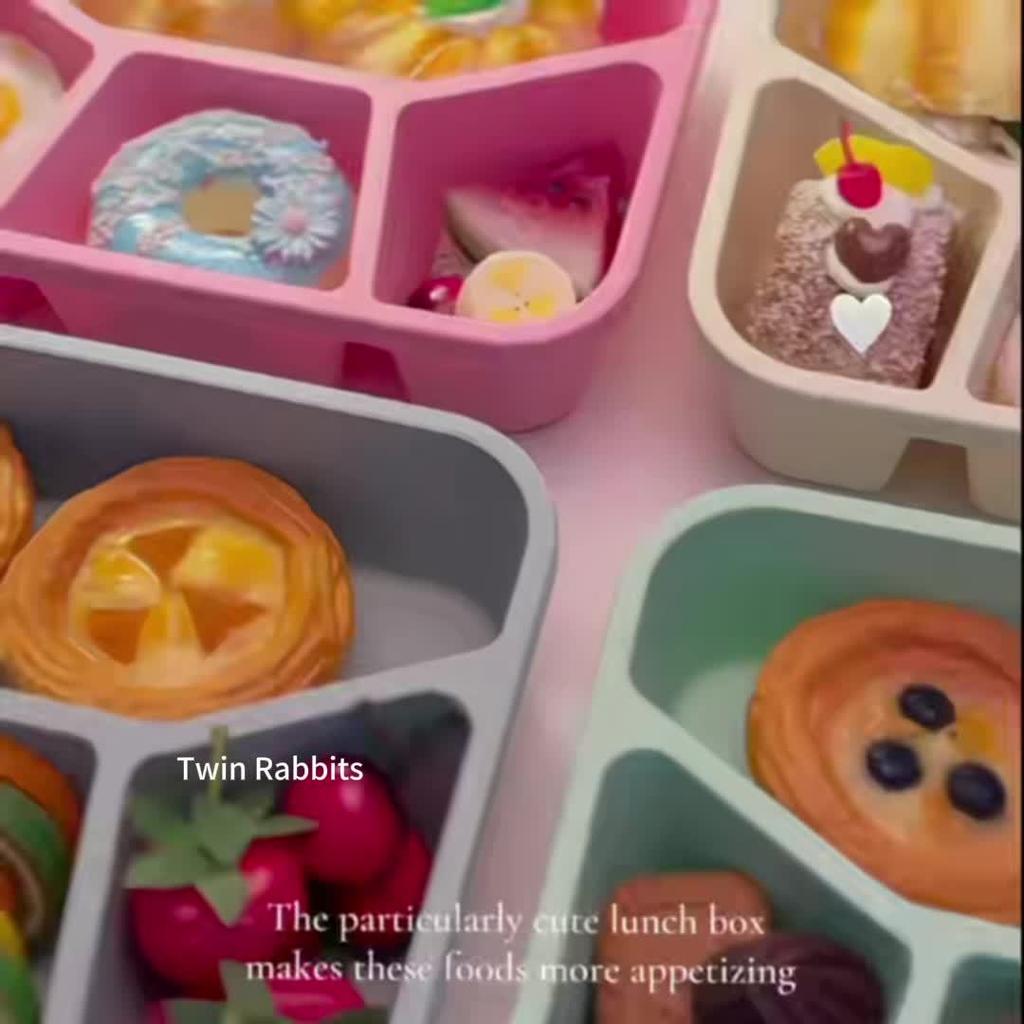 Student Square Lunch Box 4 Compartments, Bento Box Snack & Dry Fruit Container, Food Storage Snack Plate, Leak-Proof