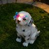 Solar Welpenstatue Licht, Garten gefleckter Hund Schmetterling Solarlicht, Outdoor niedliche Tier Skulptur Licht für Terrasse Rasen Hof