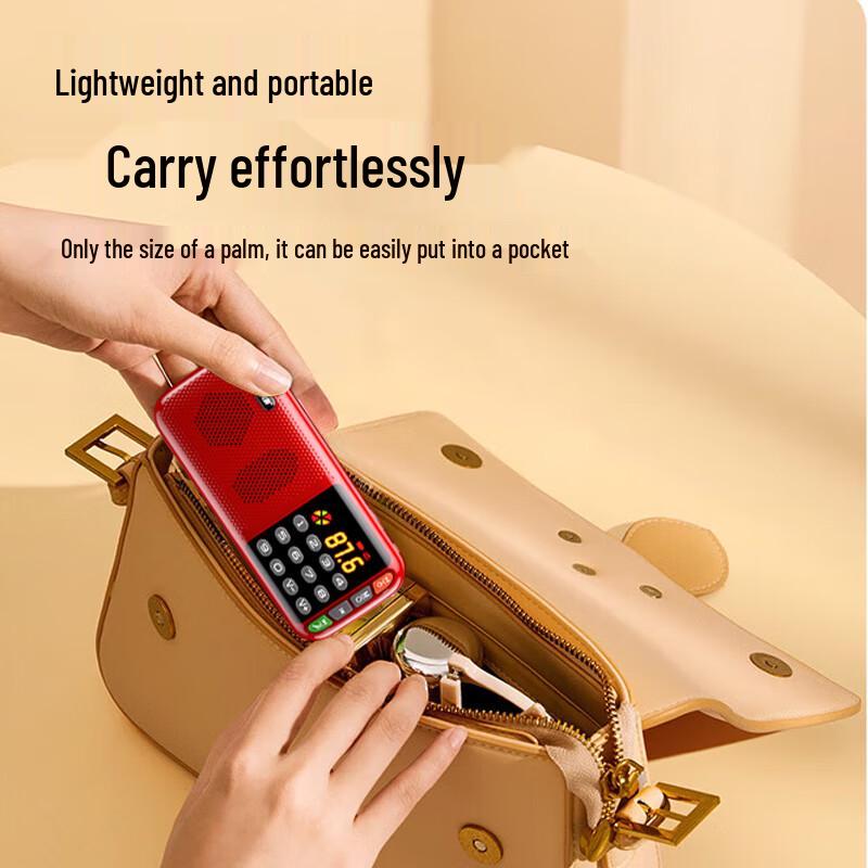 SAST Portable Multi-Function Radio & Media Player