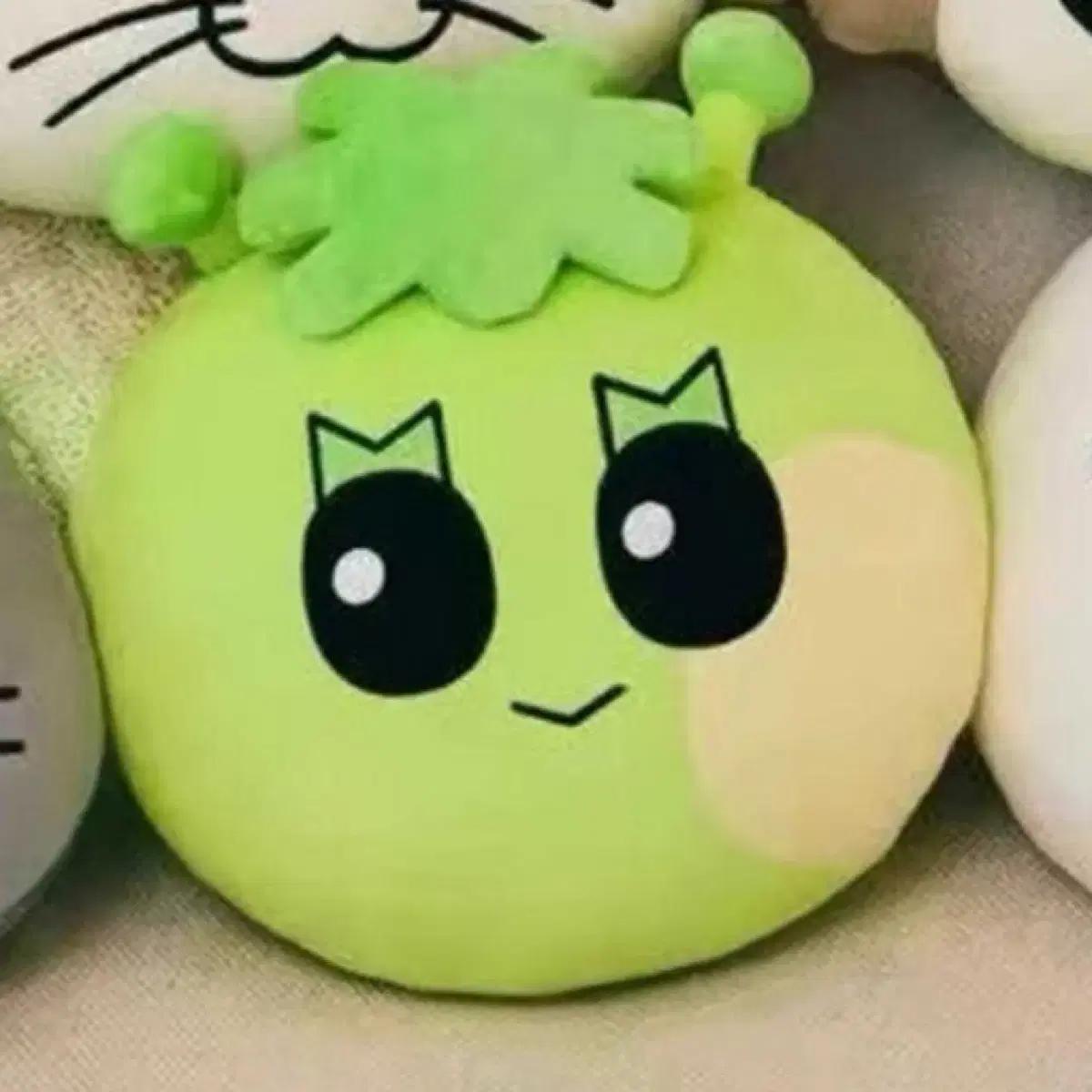 

Boynextdoor Пнекдо Самхан Кушан