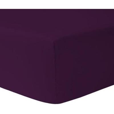 Fitted Sheet - SPECIAL DEEP POCKET - 100% Cotton - 140 X 190 Cm - Plum - Tight Weave