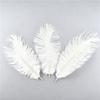 10Pcs Natural Dyed Fluffy Soft Ostrich Feather Handmade Diy Embroidery Feather Jewelry Making Dress Wedding Dress