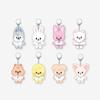 [[THIS & THAT] POP-UP MD] SKZOO COSTUME PLUSH KEYRING