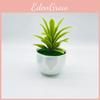 Desert Simulated Succulent Plant Artificial Green Plant Desktop Decoration