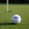 Golf Ball Golf Game Ball Double-layer Practice Ball New Ball Wear-resistant Outdoor