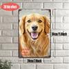 Individuelles Golden Retriever Vintage Metallblechschild HD-Druck Anti-Falte Retro Wanddekor Plakette xcm Personalisierte Haustierfoto Eisen