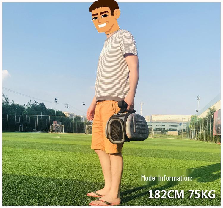 Pet Carrier: Portable Cat & Dog Transparent EVA Backpack Handbag, Foldable for Outings