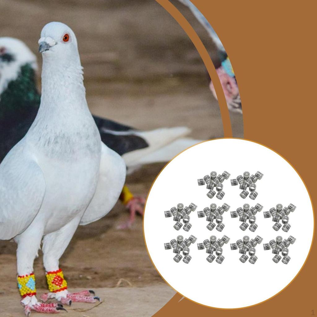 100 Pieces Pigeon Leg Rings Dove Poultry Supplies Reusable Identifying Bands Tags for