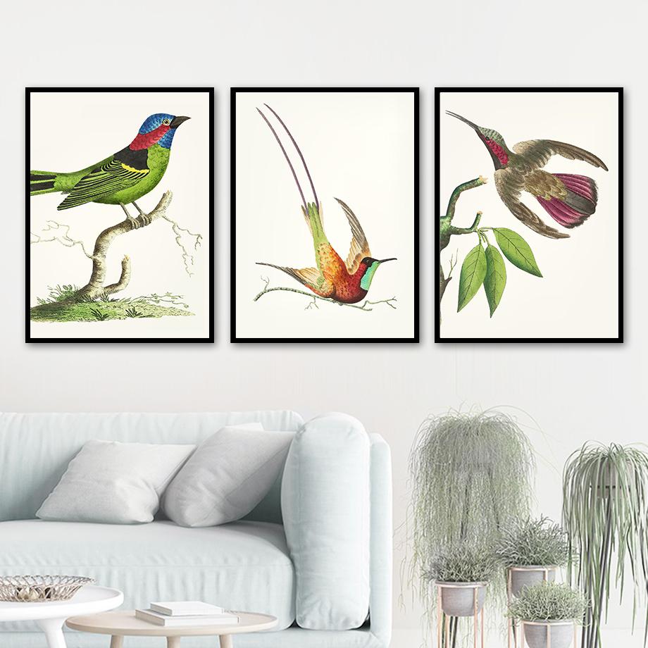 Papagal Pasăre Artă de perete de epocă Pictură pe pânză colibri colorat Postere nordice și imprimeuri Poze de perete pentru decorarea camerei de zi, fără cadru