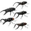 Genuine Gacha Scale Model Biological Cognitive Model Antler Beetle Simulated Moving Insect Action Figure Toys
