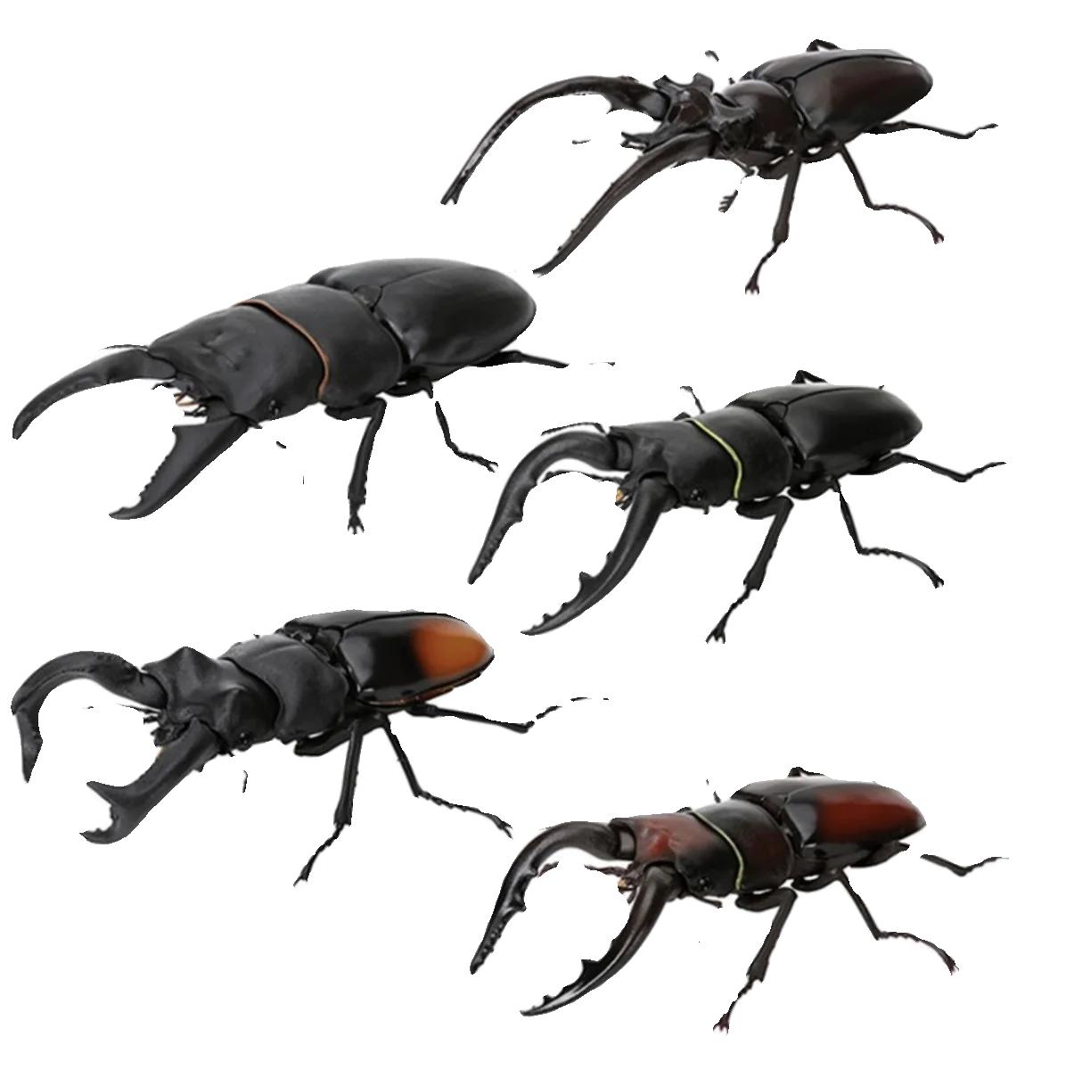 Discover Intime Genuine Gacha Scale Model Biological Cognitive Model Antler Beetle Simulated Moving Insect Action Figure Playthings
