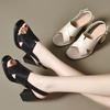 Fish Mouth Sandals Summer New European and American Style Thick Heel Cross Sandals Two High Open Toe Fashion Shoes