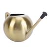 Watering Can with Long Spout 1000ml Stainless Steel Round Indoor Plant Watering Can with Detachable Head for Home