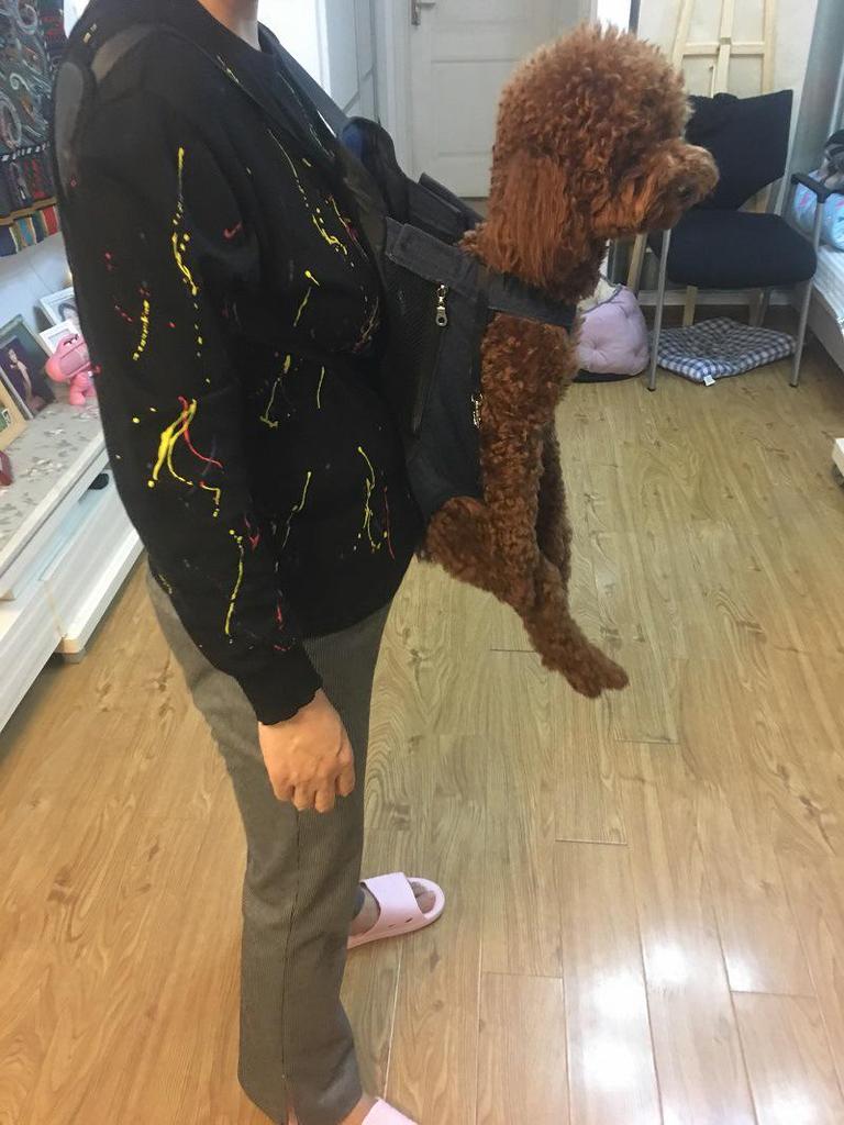 Portable Pet Carrier Bag: Front & Back Dog Backpack, Cat & Small Dog Transport Bag