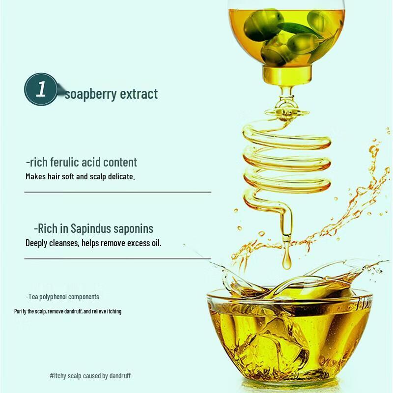 Seeyoung Soapberry Men's Purifying Shampoo