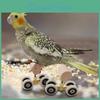 Mini Toy Roller Skates Parrot Double Row Pet Intelligence Training Supplies