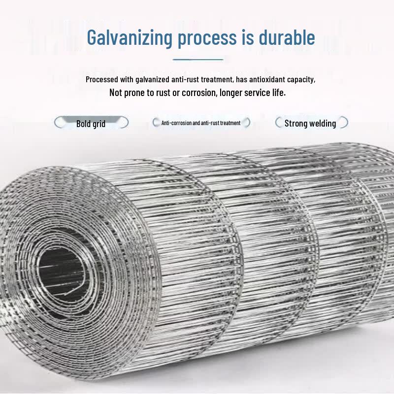Galvanized Wire Mesh Roll