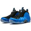 Nike Air Foamposite One Xx 'Royal' Sneakers Casual Shoes 895320-500