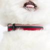 [Pet] Tri-Color Leash 1.5 Cm