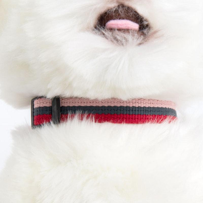 [Pet] Tri-Color Leash 1.5 Cm