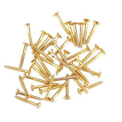 40 Stück Gitarren Humbucker Tonabnehmer Schrauben Set Kit Ring Zarge Befestigungsschrauben (golden)