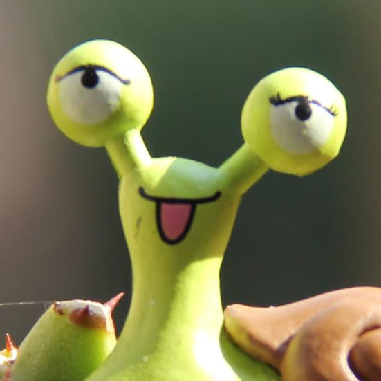 2 Teile/satz Schnecken Fee Dekor Zier Multi-farbe Lustige Ausdruck Hause Bonsai Schnecken Ornamente Sukkulenten