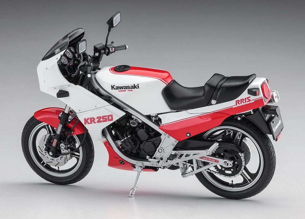 Hasegawa Kawasaki KR250 Plastic Model Kit 21745 1/12 (KR250A) White/Red