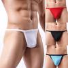 Pánské G String Mesh Bulge Prodyšné kalhotky Micro Thong T-back Spodní prádlo Krátký